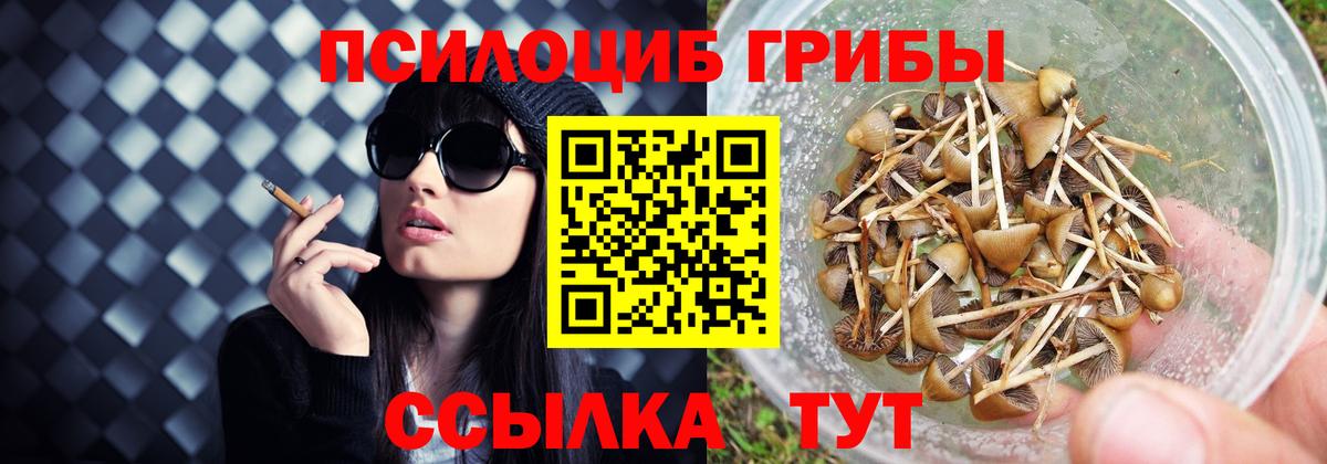 Галлюциногенные грибы Cubensis  Галлюциногенные грибы прущие грибы  как найти закладки  Самара  Вход с VPN 